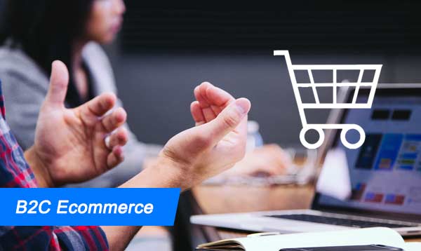 B2C Ecommerce 2023