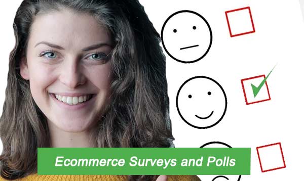 Ecommerce Surveys and Polls 2023