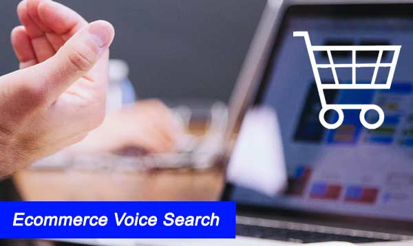 Ecommerce Voice Search 2022