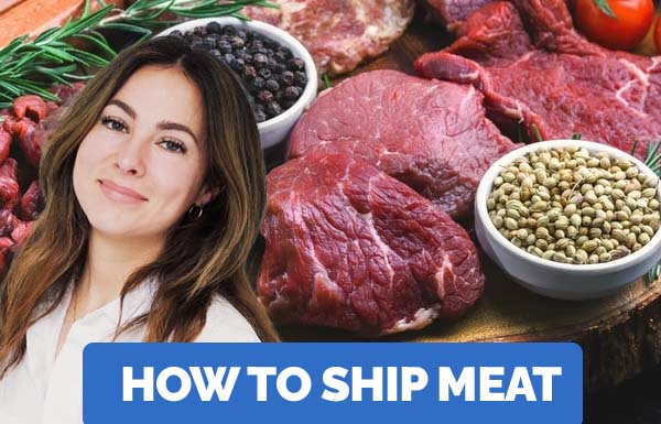 How To Ship Meat 2023
