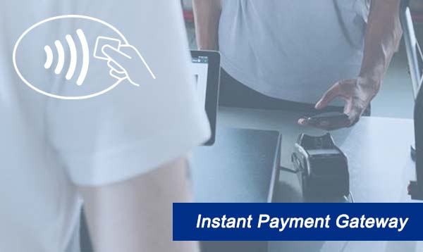 Instant Payment Gateway 2022
