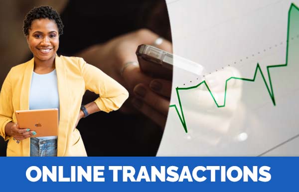 Online Transactions 2023