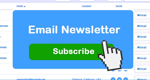 Subscribe Email marketing