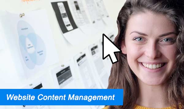 Website Content Management 2023