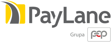 Paylane Vs Paystack