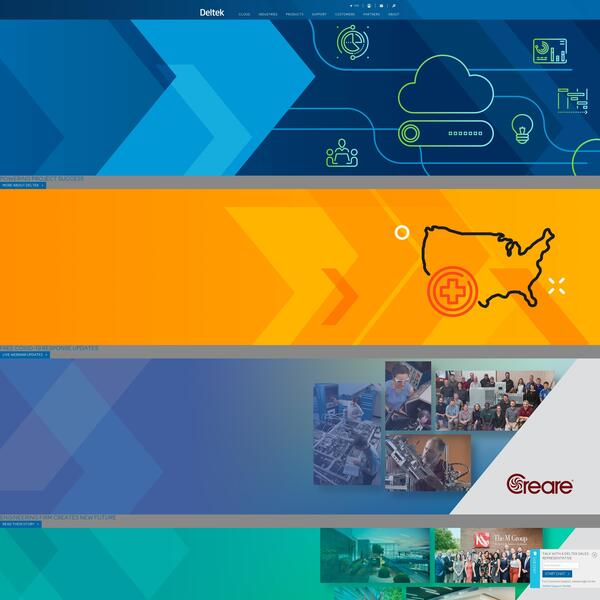 Deltek Vision Screenshot