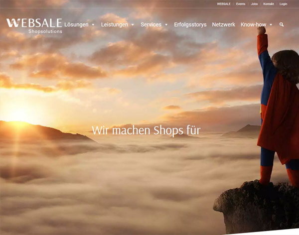 WEBSALE Screenshot